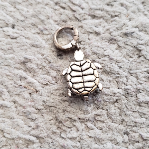 Fossil silver multicolor turtle charm - Picture 4 of 4